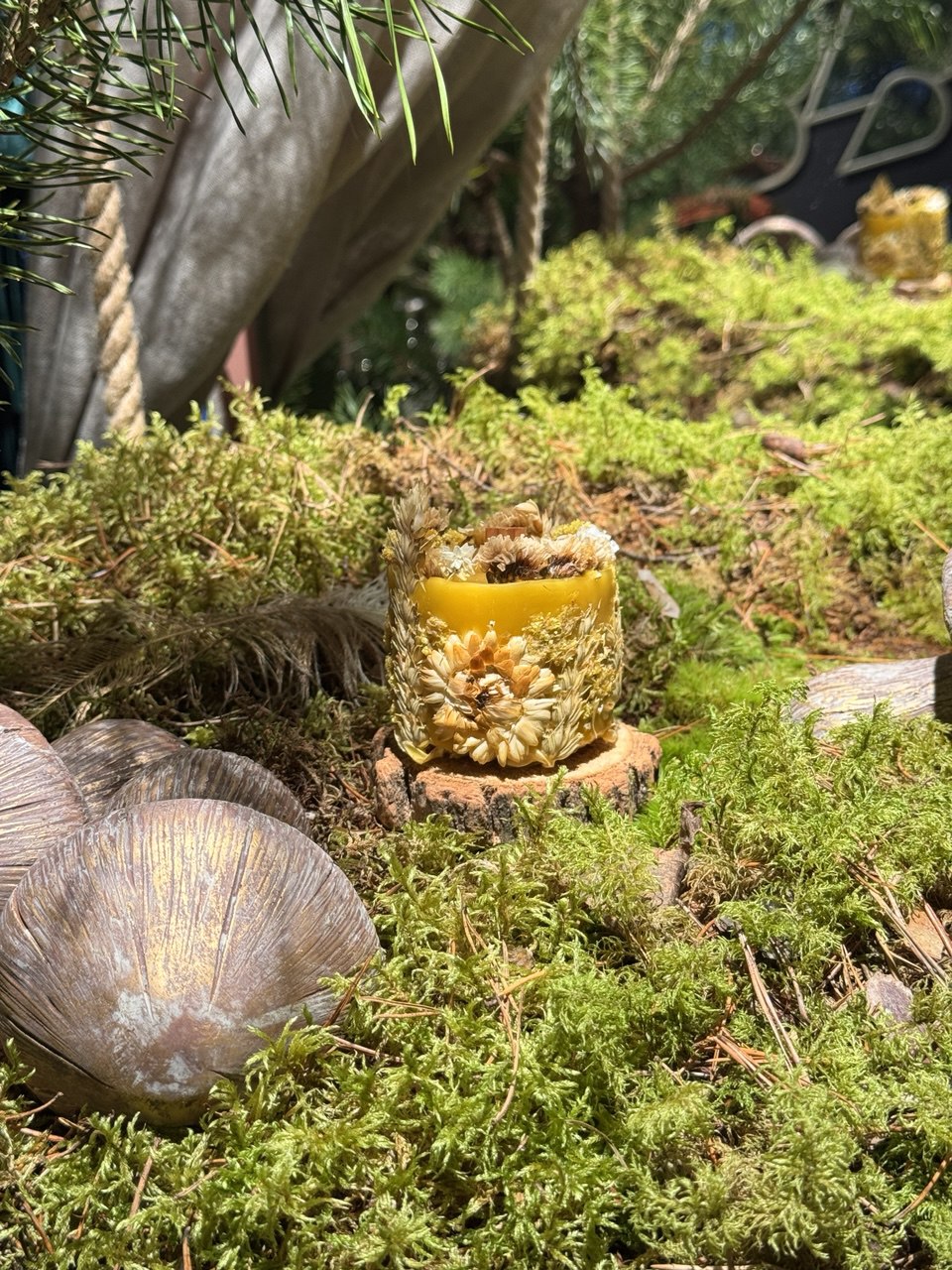 botaniska-bisu-vaska-svece-ar-kaltetiem-ziediem-koka-dakts-roku-darbs-eteriskas-ellas-owsveces.lv-3 botaniska-bisu-vaska-svece-ar-kaltetiem-ziediem-koka-dakts-roku-darbs-eteriskas-ellas-owsveces.lv-3